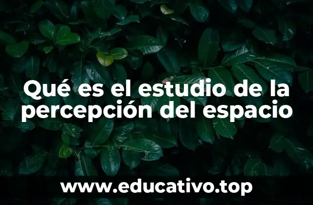 Qué es el estudio de la percepción del espacio