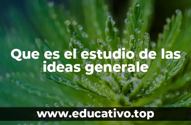 Que es el estudio de las ideas generale