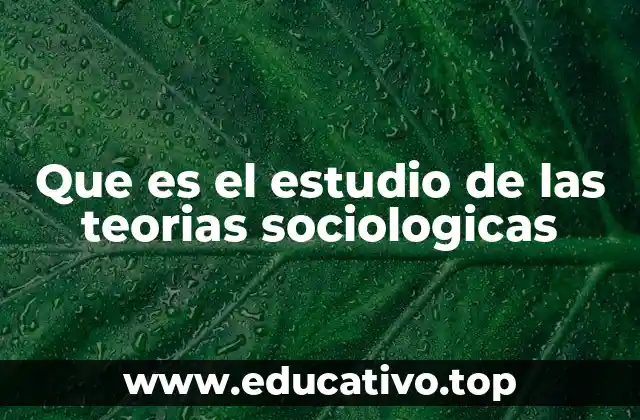 Que es el estudio de las teorias sociologicas