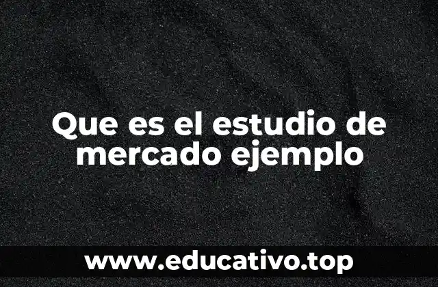 Que es el estudio de mercado ejemplo
