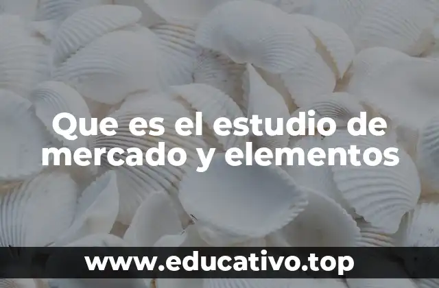 Que es el estudio de mercado y elementos