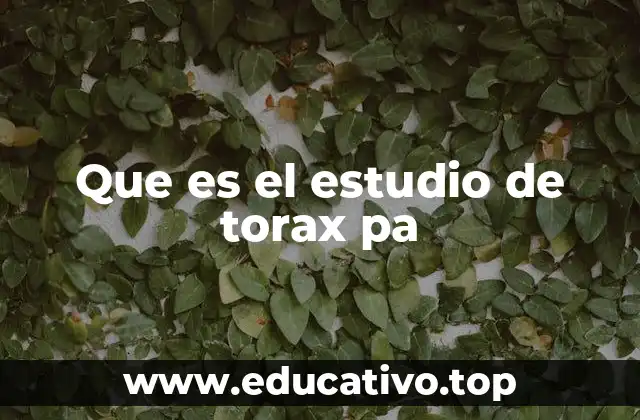 Que es el estudio de torax pa