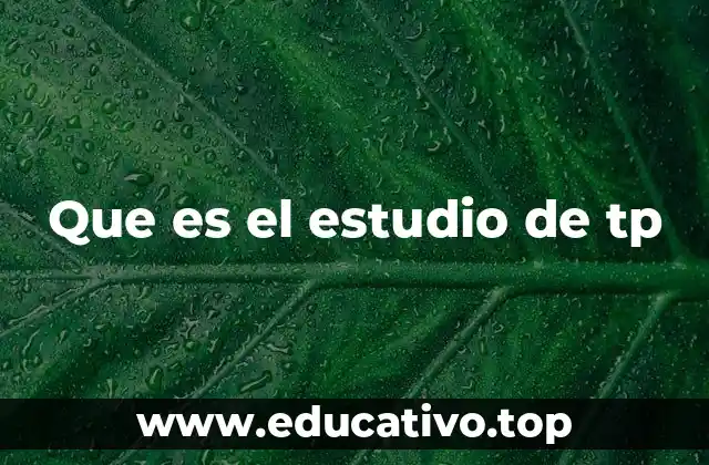 Que es el estudio de tp