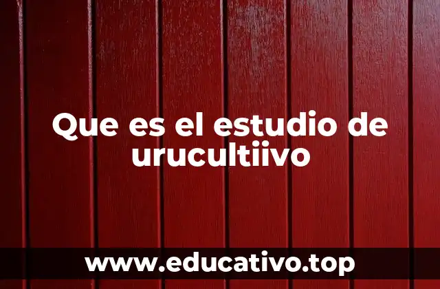Que es el estudio de urucultiivo