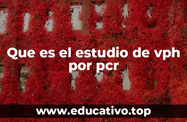 Que es el estudio de vph por pcr