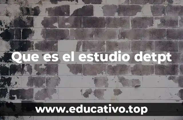 Que es el estudio detpt