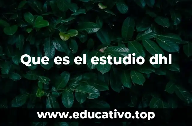 Que es el estudio dhl