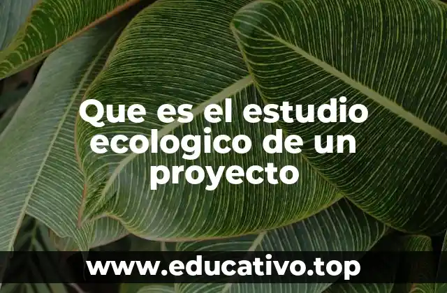 Que es el estudio ecologico de un proyecto