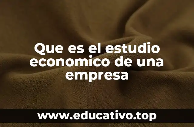 Que es el estudio economico de una empresa