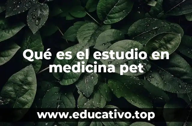 Qué es el estudio en medicina pet