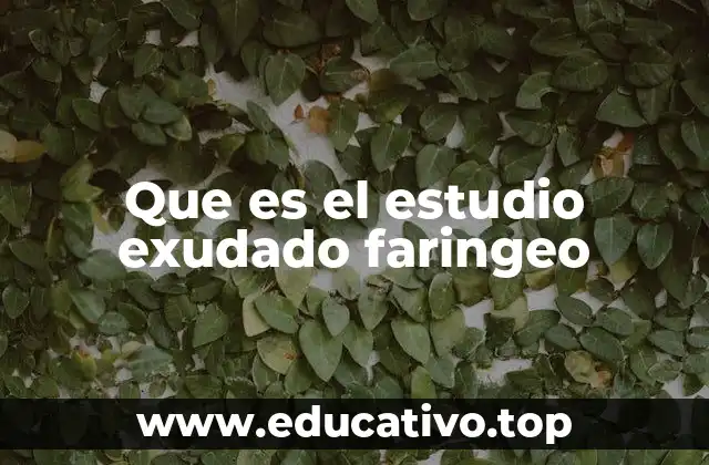 Que es el estudio exudado faringeo