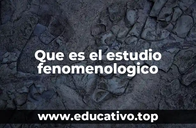 Que es el estudio fenomenologico