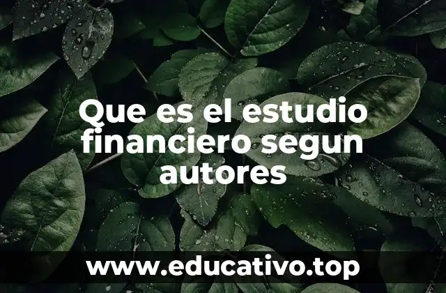 Que es el estudio financiero segun autores