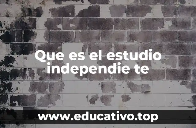 Que es el estudio independie te