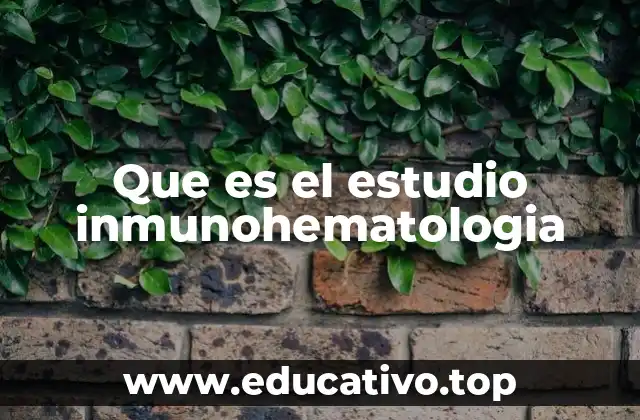 Que es el estudio inmunohematologia