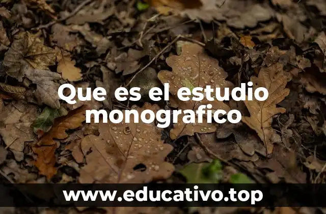 Que es el estudio monografico