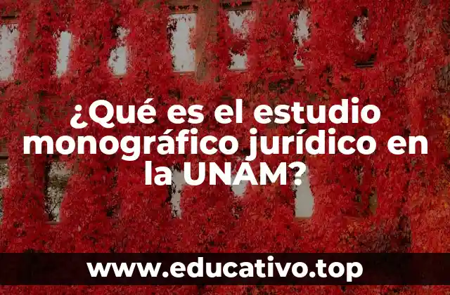 ¿Qué es el estudio monográfico jurídico en la UNAM?