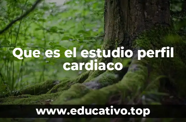 Que es el estudio perfil cardiaco