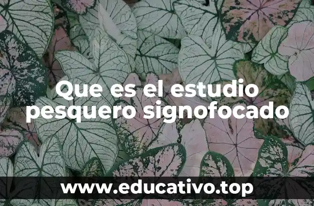 La importancia de enfocar los estudios pesqueros en una especie o ecosistema específico