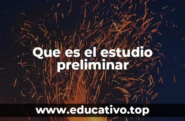 Que es el estudio preliminar