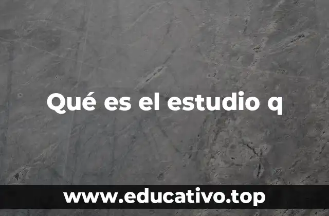 Qué es el estudio q