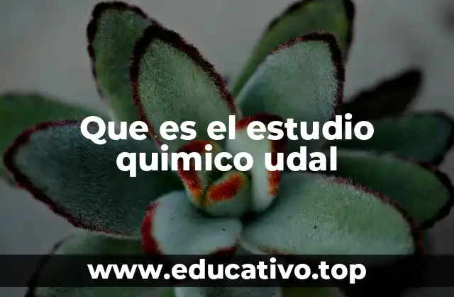 Que es el estudio quimico udal