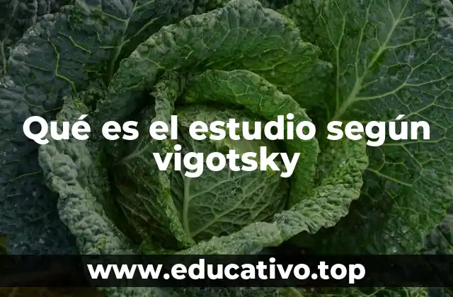 Qué es el estudio según vigotsky