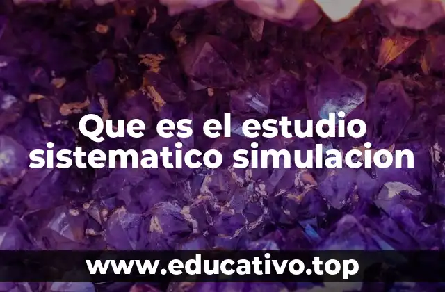 Que es el estudio sistematico simulacion