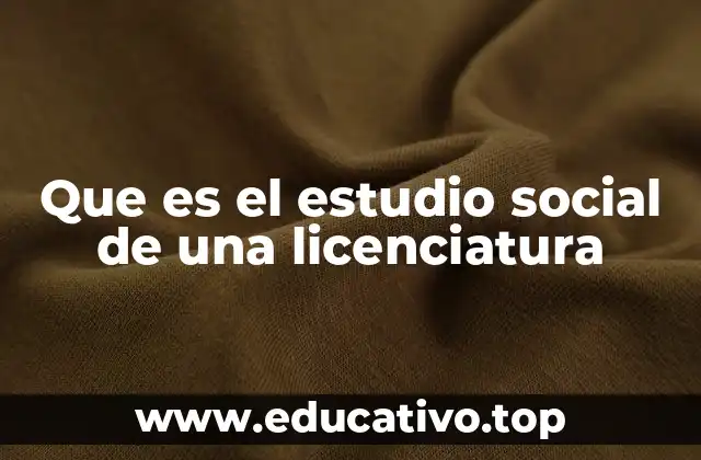 Que es el estudio social de una licenciatura