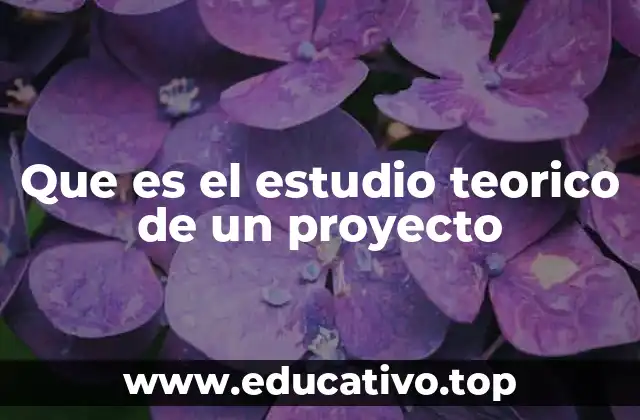 Que es el estudio teorico de un proyecto