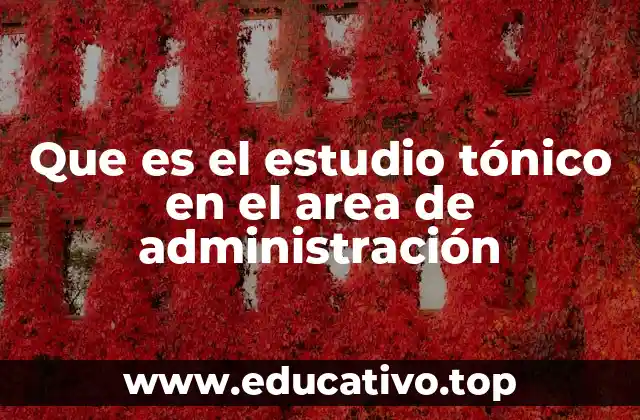 Que es el estudio tónico en el area de administración