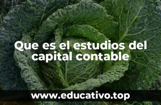 Que es el estudios del capital contable
