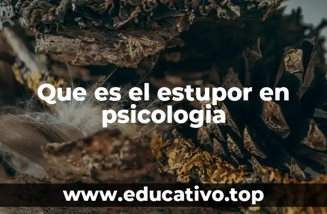 El estupor y su relación con otros síntomas psicológicos