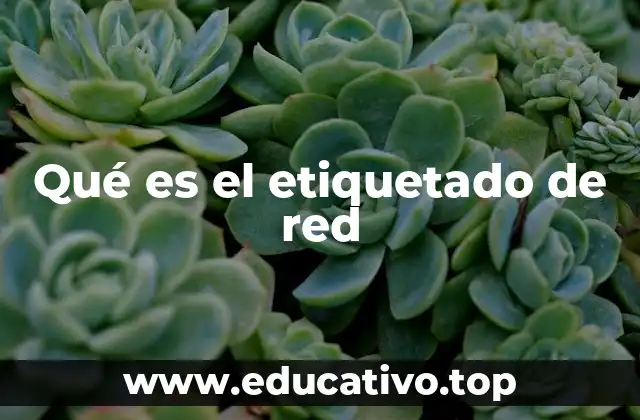 Qué es el etiquetado de red