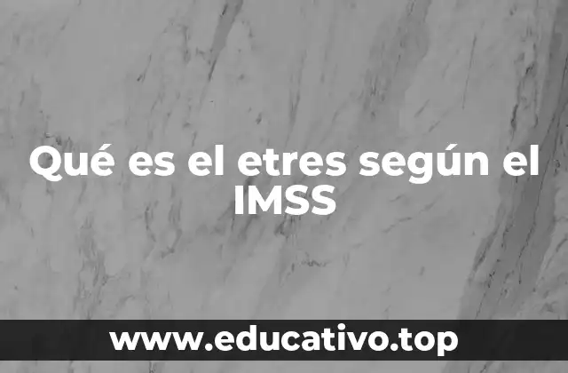 Qué es el etres según el IMSS