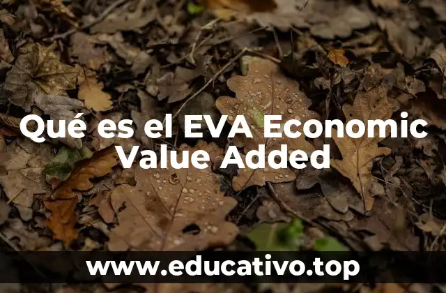 Qué es el EVA Economic Value Added