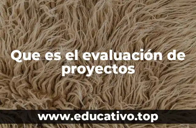 Que es el evaluación de proyectos