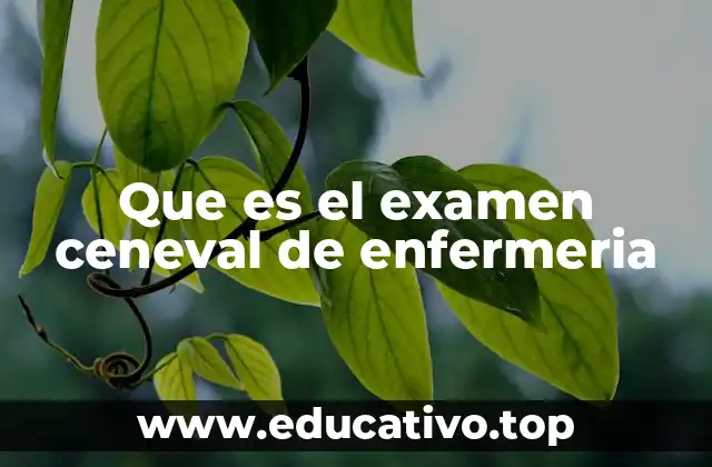 Que es el examen ceneval de enfermeria