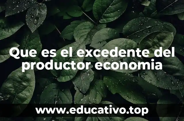 Que es el excedente del productor economia