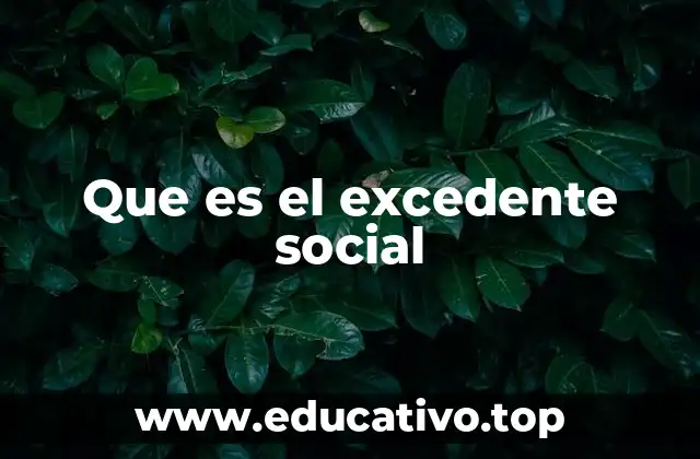 Que es el excedente social