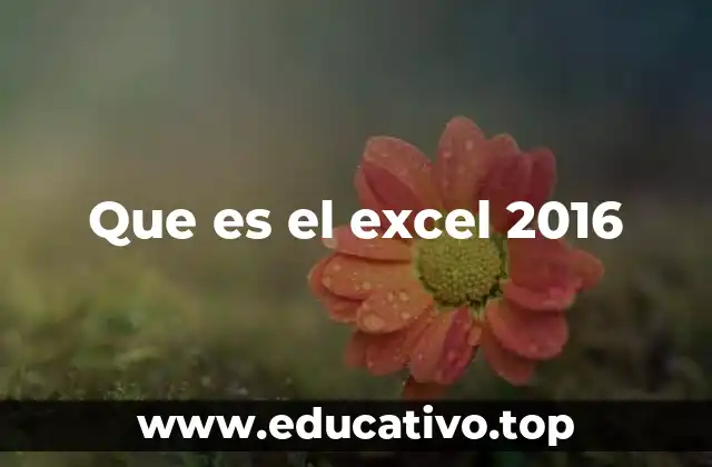 Que es el excel 2016