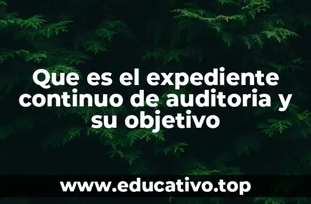 Que es el expediente continuo de auditoria y su objetivo
