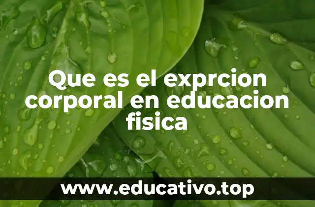 Que es el exprcion corporal en educacion fisica