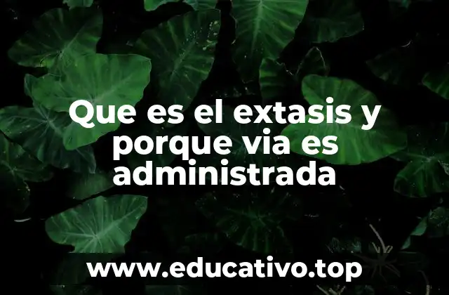 Que es el extasis y porque via es administrada