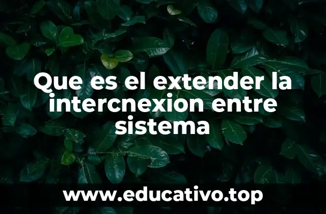 Que es el extender la intercnexion entre sistema