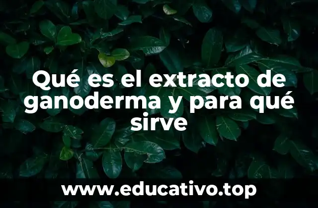 Qué es el extracto de ganoderma y para qué sirve