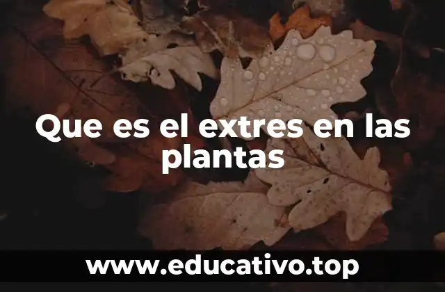 Que es el extres en las plantas