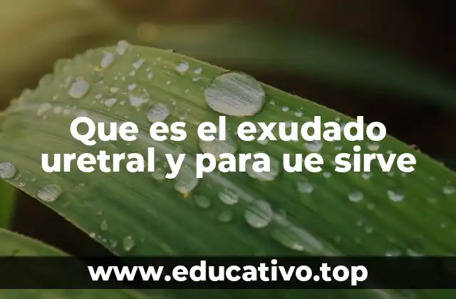 El papel del exudado uretral en el diagnóstico de enfermedades infecciosas