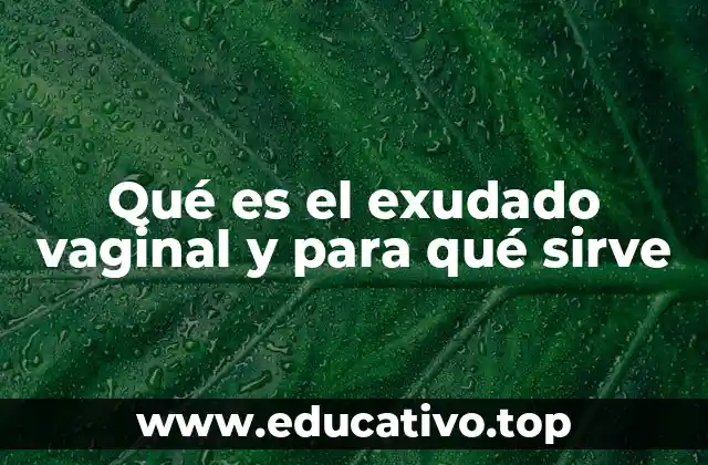 Qué es el exudado vaginal y para qué sirve