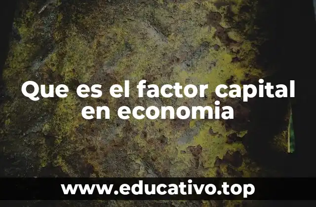 Que es el factor capital en economia